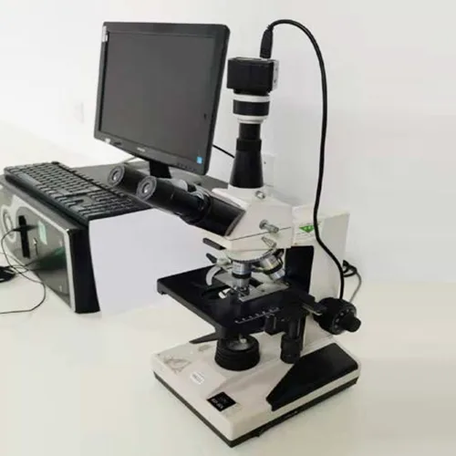 Microscopio elettronico